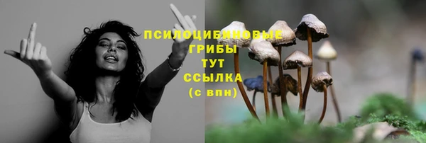 MDMA Красноперекопск