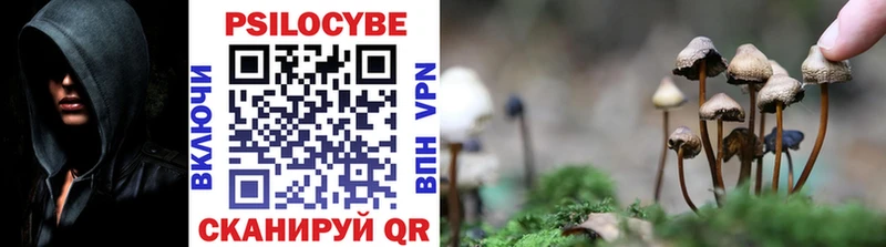 Купить закладки  Норильск  Псилоцибиновые грибы Magic Shrooms